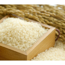высокое качество короткие круглые зерна риса для японской еды суш